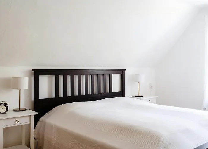 The Countess' House In The Beautiful Nature